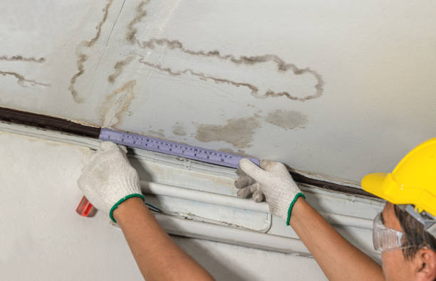 Reliable Mold Remediation contractor in Tacoma, WA by Water Damage Irwin